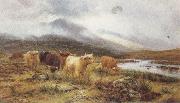 Louis bosworth hurt, Highland Cattle on the Banks of a River (mk37)